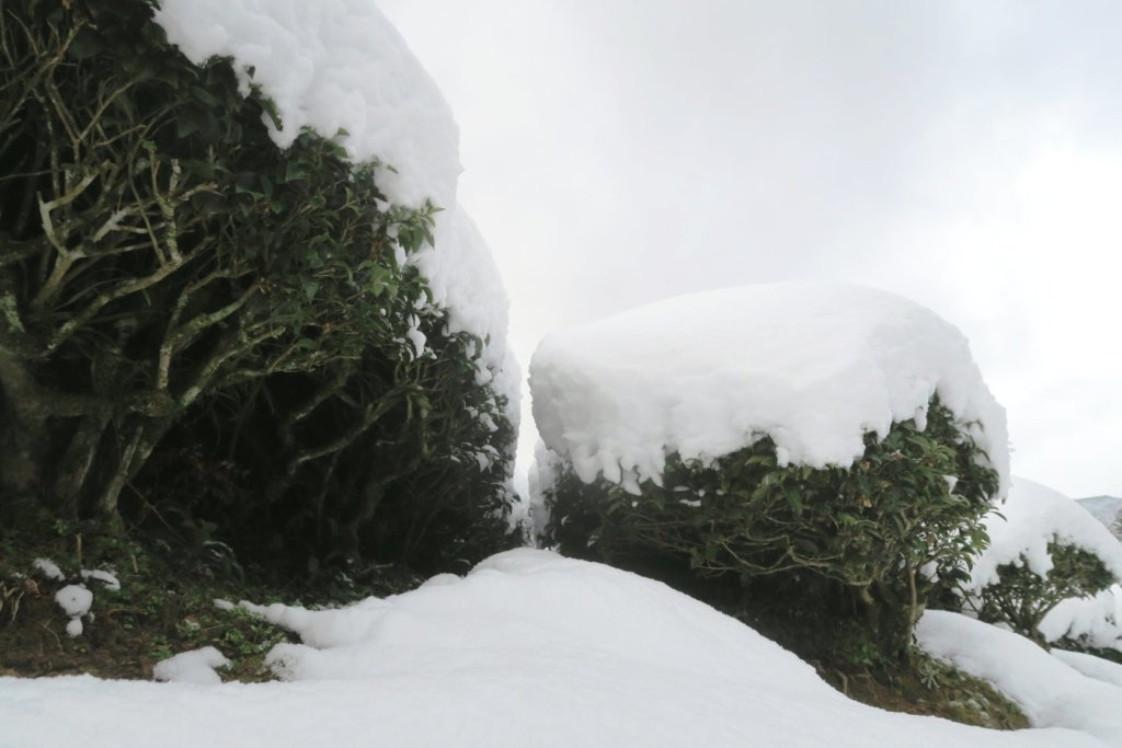 2020年12月大晦日
