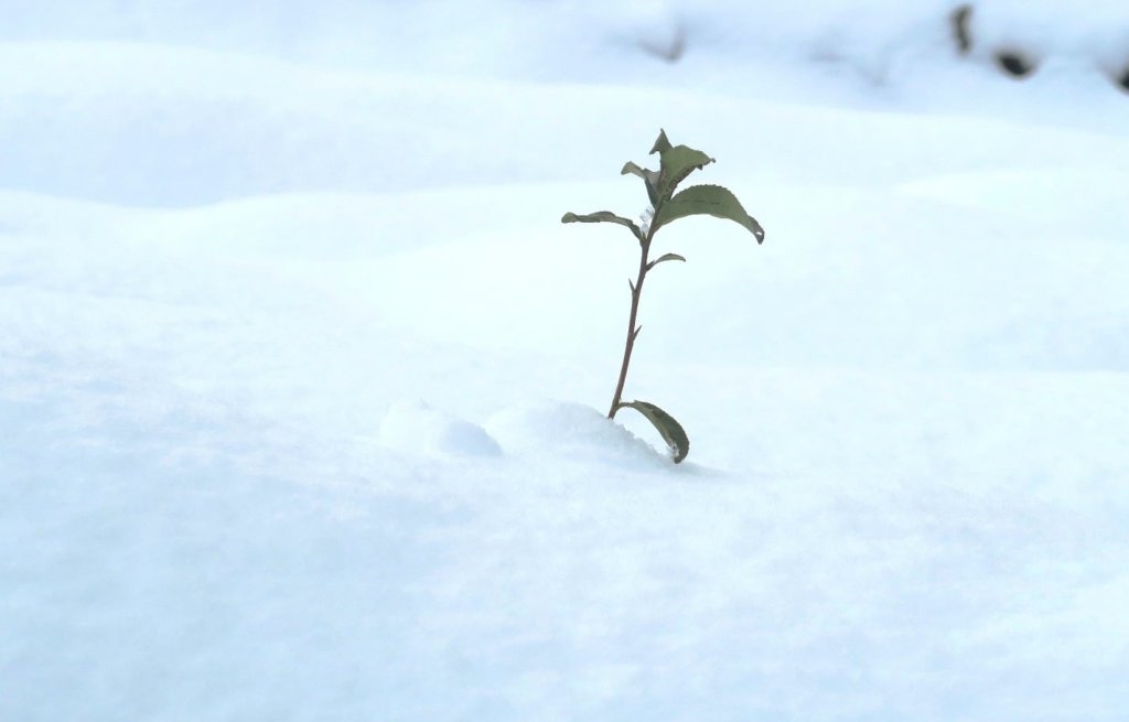 2020年12月大晦日
