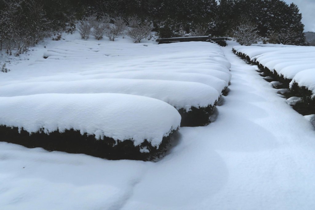2020年12月大晦日
