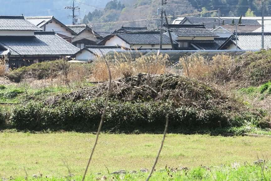 六日市の茶場巡り