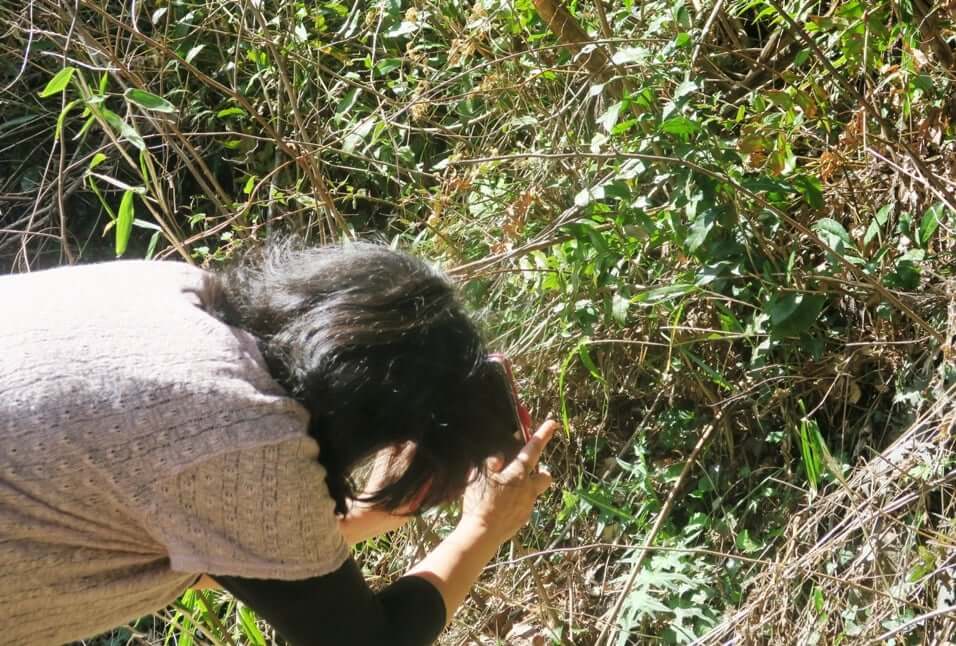 六日市の茶場巡り