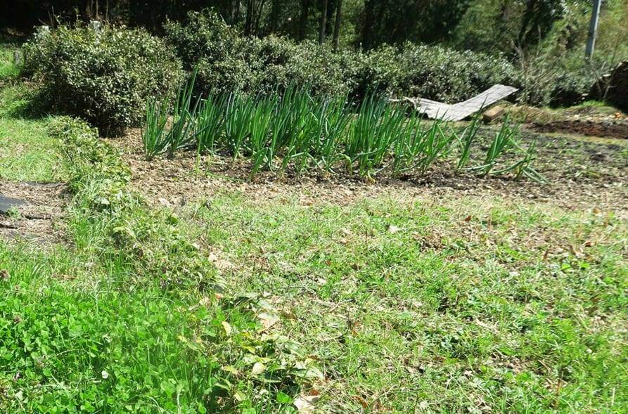 六日市の茶場巡り